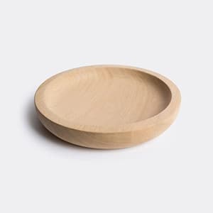Smooth Disk